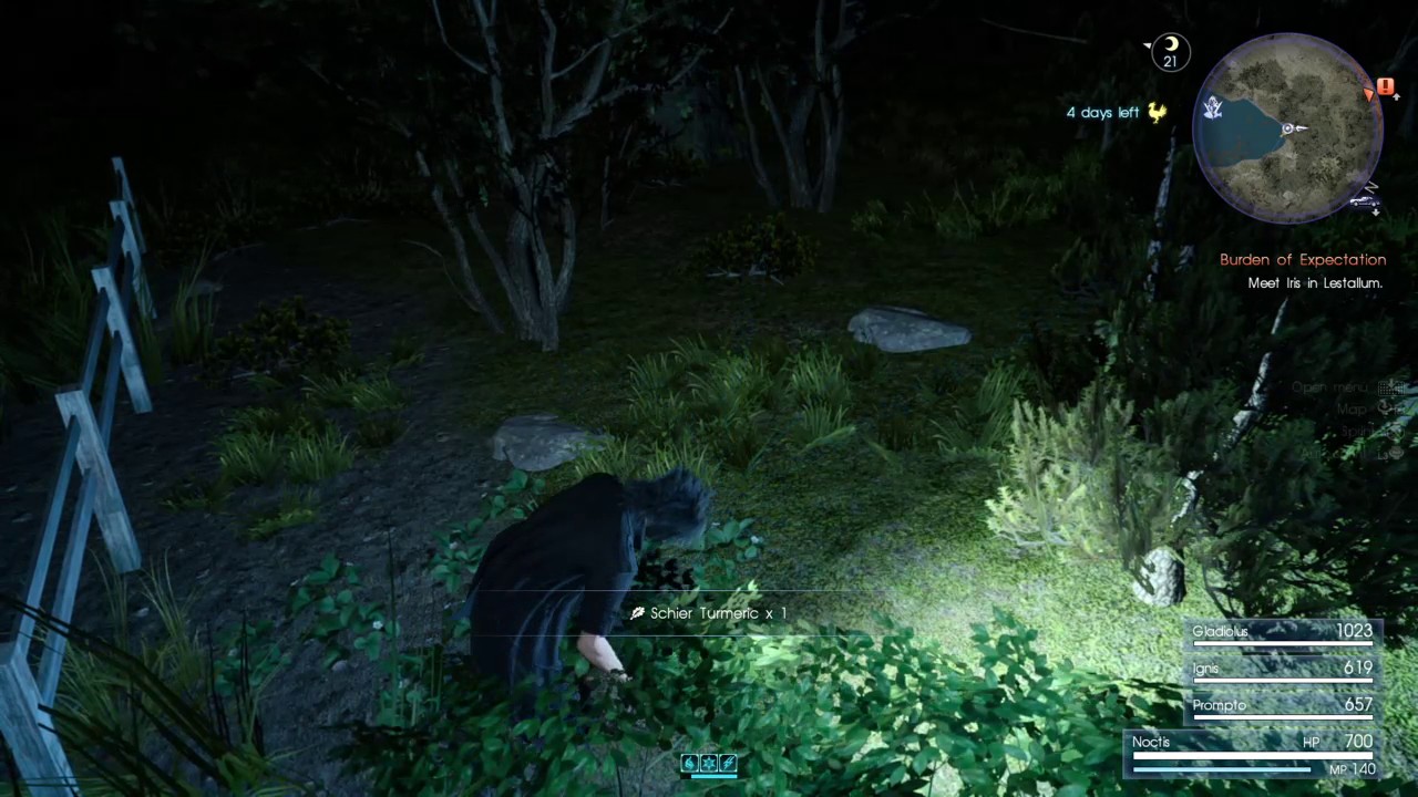 FINAL FANTASY XV how to find Needle 1,000 Cactuar item YouTube