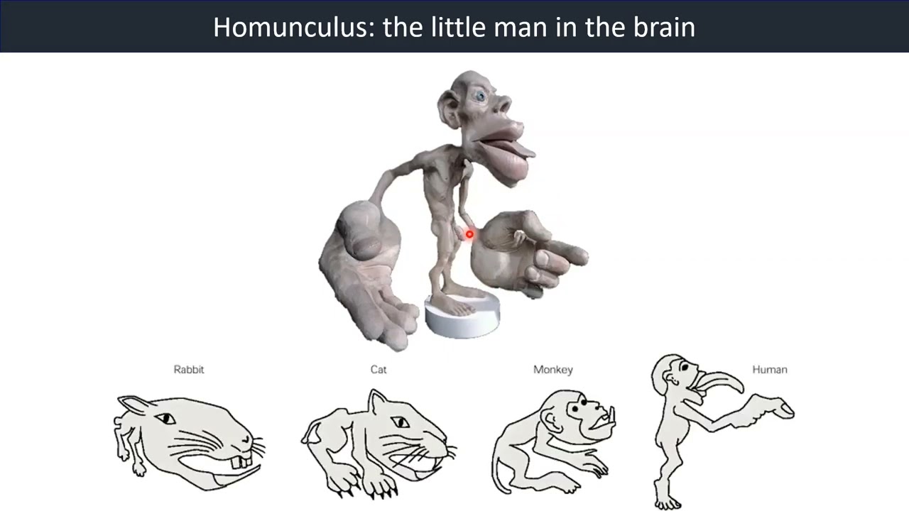 youtube-video-thumbnail