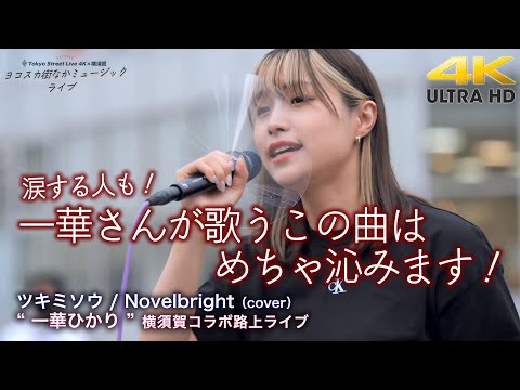 【 感動の歌声 】一華さんが歌うこの曲はめちゃ沁みます！涙する人も！　ツキミソウ / Novelbright（cover） " 一華ひかり "横須賀コラボライブ 4K映像
