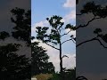 #박지현#자연이좋아 #자연치유 #자연의힘