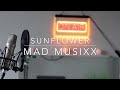 Sunflower  shannon purser  cover by mad musixx