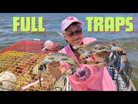 Blue Crabs, We Loaded Up, Caught, 50 Blue Crabs