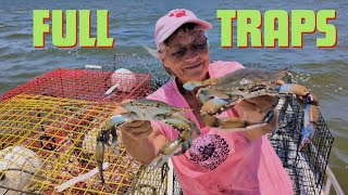 Blue Crabs, We Loaded Up, Caught, 50 Blue Crabs