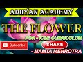 The Flower | Adhyan Academy | ICSE Curriculum