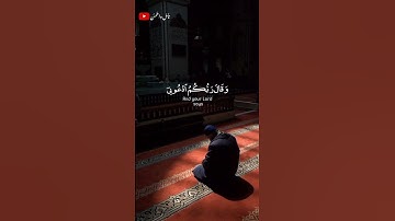 ارح سمعك بتلاوه عذبه للشيخ فارس عباد🎧❤️‍🩹 #طمئن_قلبك #أرح_سمعك_وقلبك #اكسبلور