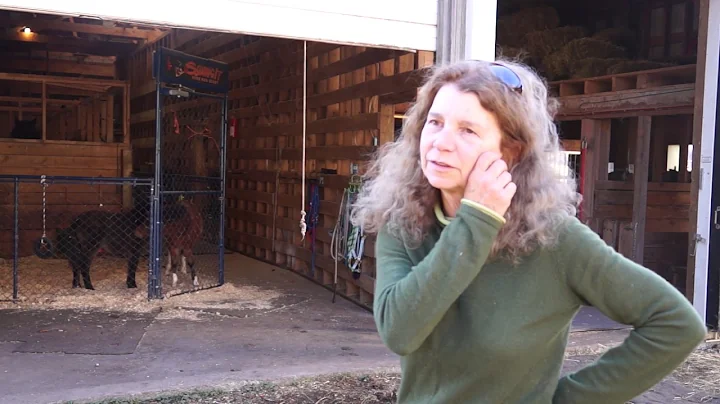 Elizabeth Wegmann Part 1-Horse Helpers