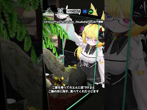 【VRChat】カエルにご飯をあげたり手に持ったりして触れ合えるワールドです