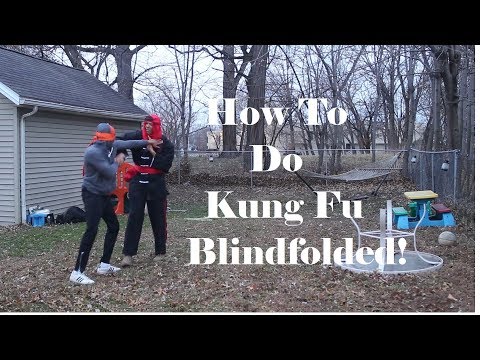 How to do Kung Fu Blindfolded! 😎👊🏼🤫
