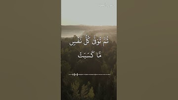 وَاتَّقُواْ يَوْماً تُرْجَعُونَ فِيهِ إِلَى اللّهِ - سورة البقرة - الآية 281