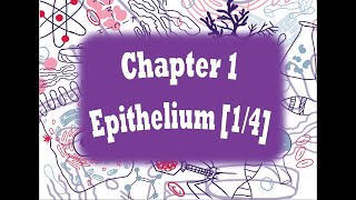 Histology Chapter 1 Epithelium - Lecture [1/4]