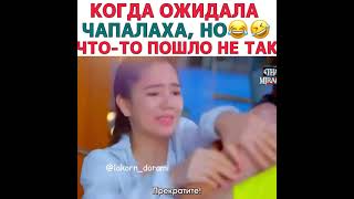 Когда ожидала чапалаха, но что-то пошло не так/Последнее обещание