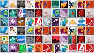 Celebrity Software Project Management Profile