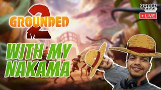 GROUNDED 2: Surviving the Backyard (and the Ping!) with Arjun