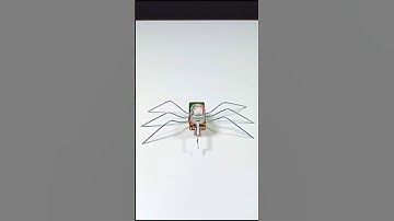 How to make Self moving spider robot With DC Motor #diy #spider #robot #shorts