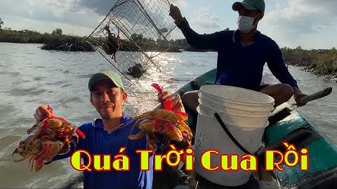 Cách Đặt Lợp Bắt Cua Biển Trong Vuông Tôm Ở  Cà Mau | Vũ Vlog 69