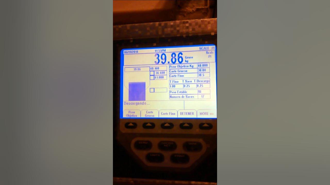 Rice lake 920i ensacadora no hopper YouTube
