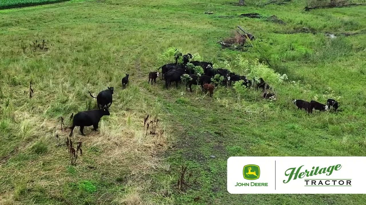 Трактор Heritage: здесь для вашего стада, вашего сена, здесь для вас.