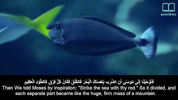 26_ سورة الشعراء بصوت الشيخ ياسر الدوسري 🏳 مترجم