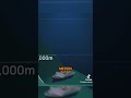 The Ocean Is WAY Deeper Than You Think143#deepocean #deepsea #animation #Science #shorts