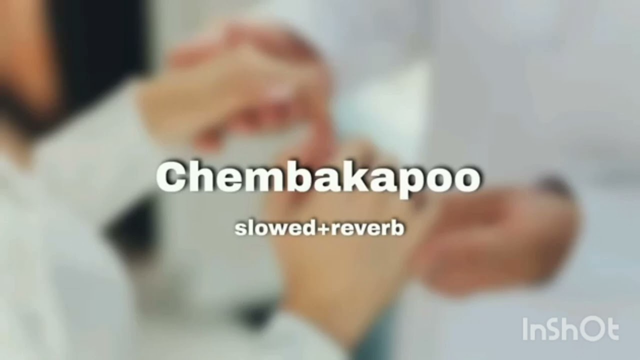 Chembakapoo slowedreverb shahza yousafnabil