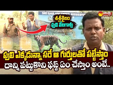 Srisailam Tiger Tracker : ఆ గుర్తులు కనబడితే చాలు పులిని పట్టేస్తాం | Sakshi TV Digital