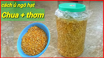 cách ủ ngô lên men tự nhiên.câu đài - lục - lăng xê
