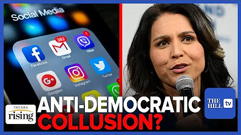 Tulsi Gabbard: Democracy Is DEAD As Long As BIG TE...