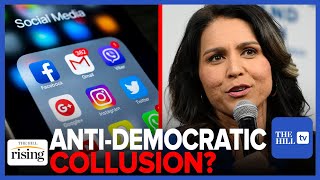 Tulsi Gabbard: Democracy Is DEAD As Long As BIG TECH & Democrats Continue To Collude
