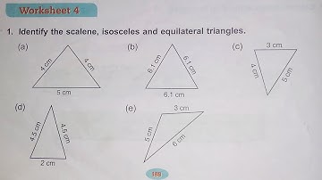 Dav Class 5 Math Unit 16 Worksheet 4 ||Triangles || Classification Of Triangles ||