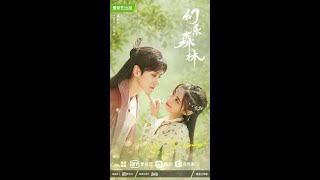 Echo of Her Voice (2022) Meet You in Your Sound