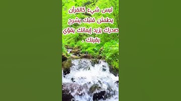 رسالتك اليوم(٧١)💚👍عبارات  دينية تحفيزية عن القرآن الكريم ( ليس شيء كالقرآن يطمئن قلبك يشرح صدرك ...)