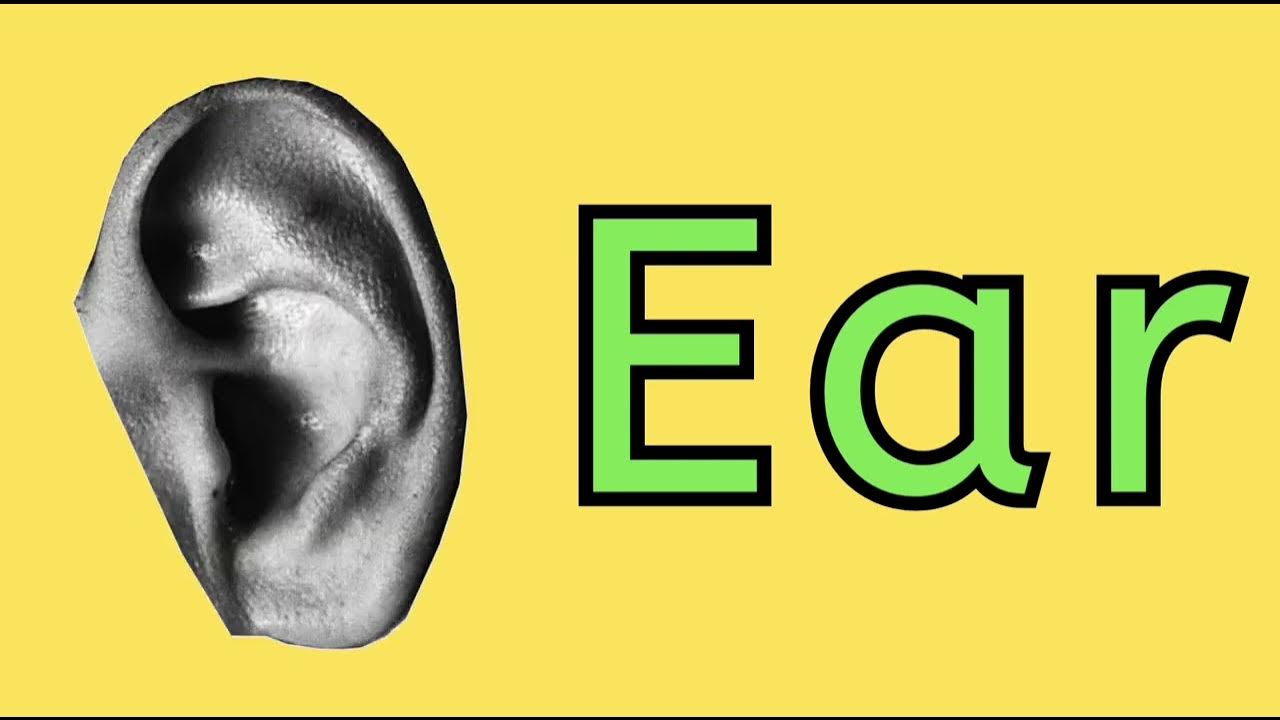 spelling of ear ⭐ Homework ⭐ keep repeating letter ear, how to
