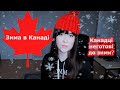 ЗИМА В КАНАДІ: Як пережити канадську зиму без авто? | Канадці неготові до зими