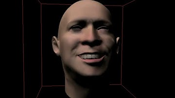 Realistic Performance-driven Facial Animation using Hardware Acceleration (2004)