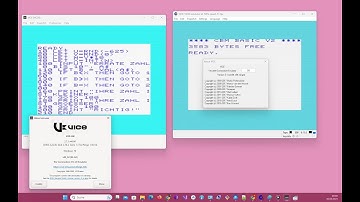 VICE  VIC20 emulator