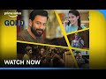 Gold Official Trailer | Nayanthara & Prithviraj | Prime Video