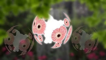 #Pegasusintroce OOF THIS SUX HHHHHHHHHHHHH