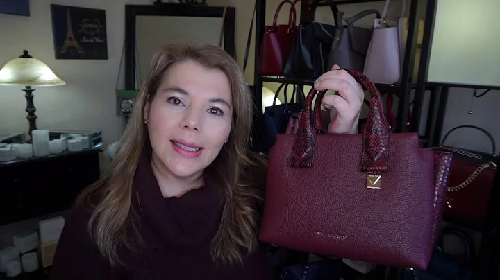 Michael Kors Review Rollins Small Oxblood & Snakeskin Vlog 11 2019  earrings by Michelle