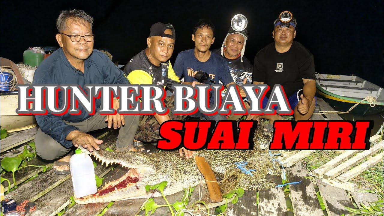 Beburu Alligator Besar Mengunkan Senapang & Pancing || Sungai Suai Niah Miri