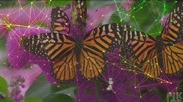 Lesson 271 ACIM Christ