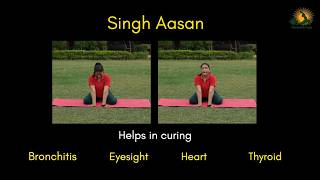 Singh Aasan | Lion Pose | facial expression and breathing mimic a roaring lion | #mudrakshyoga
