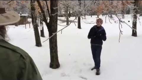 Raw video: How to Identify a Sugar Maple Tree