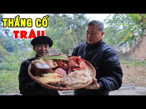 Video THẮNG CỐ TRÂU ✦ TRÂU NẤU HỔ LỐN • Chống Rét Cùng 2 Vị... - youtube