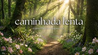 A Vida é Uma Caminhada Lenta 🌸🍃 Piano Suave para Limpar a Mente