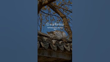 سورہ دوحہ #راحة_نفسية #تلاوة_خاشعة #اكسبلور
