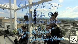 Agua de Beber (Jobim/Gimbel/Moraes) Live @ Capital Club of Asheville