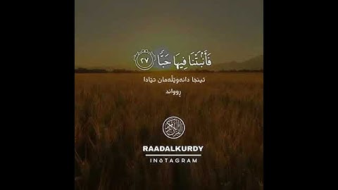 فلينظر الانسن الى طعامه بصوت الحنجرة الذهبيه القارئ رعد الكردي من العراق _انضمو بالوصف فضلاا وليس أم