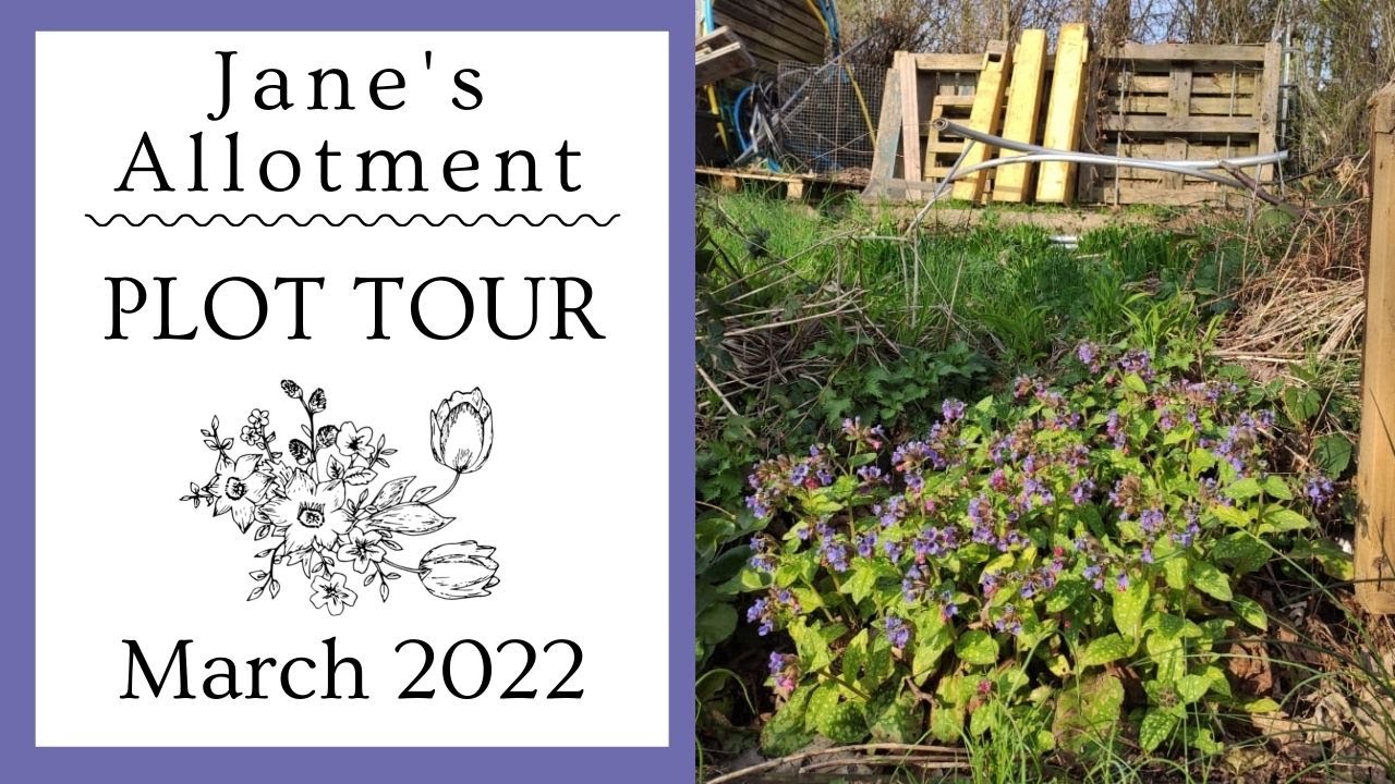 PLOT TOUR MARCH 2022 - things are looking up!