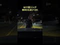 恐怖の当たり屋じじい #shorts
