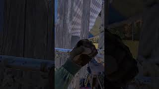 Stay Away From My Balloon